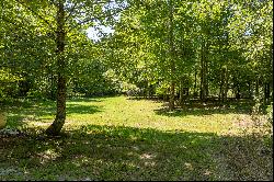 Two Acres on Toccoa River Minutes From Downtown Blue Ridge