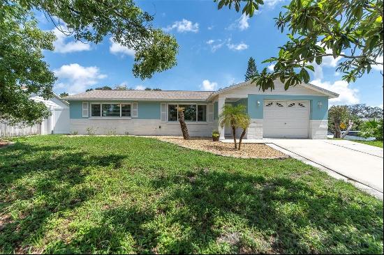 5620 Executive Drive, New Port Richey FL 34652