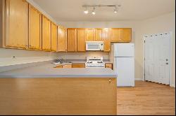 1133 E 61ST Street #1, Chicago IL 60637