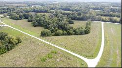 Lot #42 Meadow Lake Ln, Fayette MO 65248