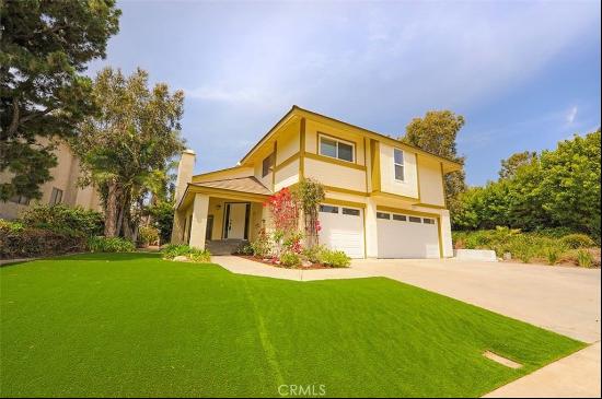 26021 Buena Vista Ct., Laguna Hills CA 92653