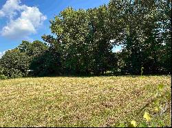 TBD CR 2115 Lot 1, Troup TX 75789