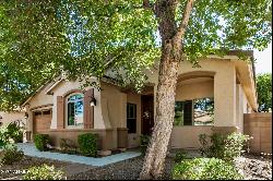 2677 E Ficus Way, Gilbert AZ 85298