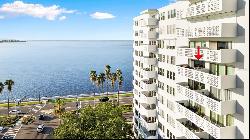 2401 Bayshore Boulevard #1008, Tampa FL 33629