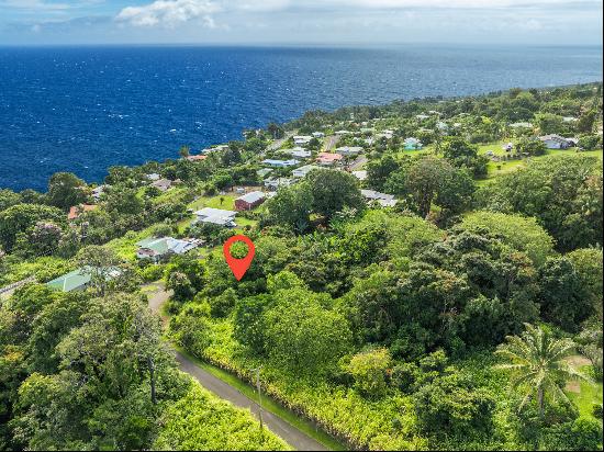 Puualaea Homestead Rd, Laupahoehoe HI 96764