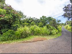 Puualaea Homestead Rd, Laupahoehoe HI 96764