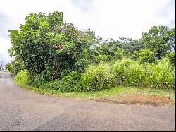 Puualaea Homestead Rd, Laupahoehoe HI 96764