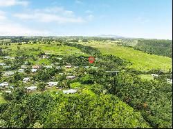 Puualaea Homestead Rd, Laupahoehoe HI 96764