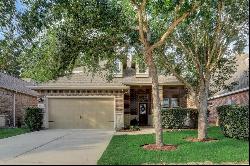 13323 Hartland Lake Lane, Houston TX 77044