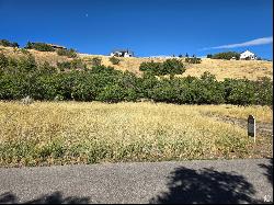 402 S LOAFER CANYON, Elk Ridge UT 84651