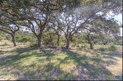 5830 Camp Creek Drive, New Braunfels TX 78132