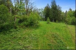 0 Salmon Creek Road, Mossyrock WA 98564