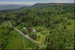 0 Salmon Creek Road, Mossyrock WA 98564