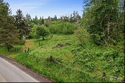 0 Salmon Creek Road, Mossyrock WA 98564