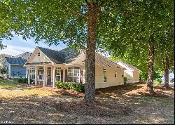 3 Medallion Park, Newnan GA 30265