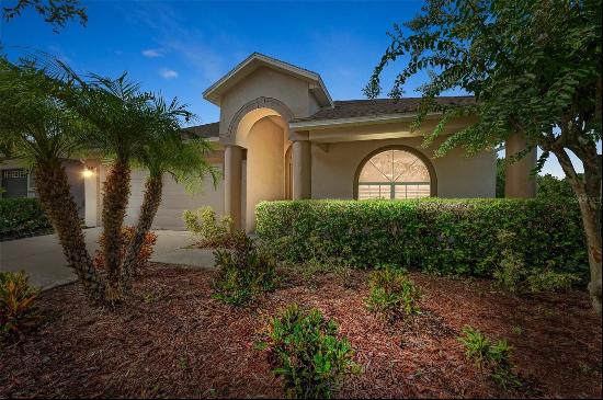 4153 Waterville Avenue, Wesley Chapel FL 33543