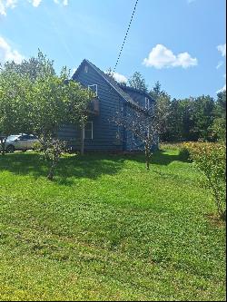 678 Bog Road, Jackson ME 04921