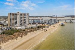 3300 Ocean Shore Avenue Unit 607, Virginia Beach VA 23451