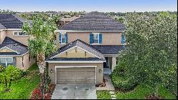 27119 Carolina Aster Drive, Wesley Chapel FL 33544