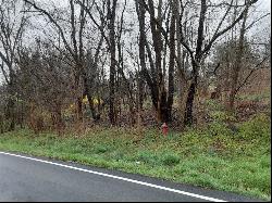 Lot#2 Meadowbrook Road, Murrysville PA 15668