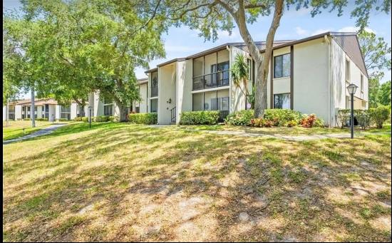 2523 Pine Ridge Way S #C2, Palm Harbor FL 34684