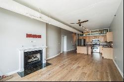 125 E 13th Street #512, Chicago IL 60605