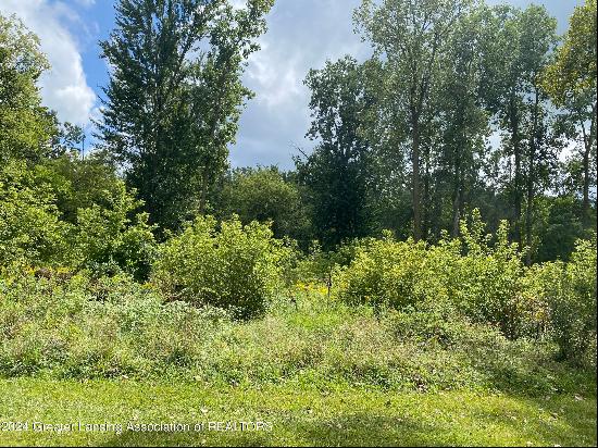 V/L W South - Lot#11 Street, Owosso MI 48867