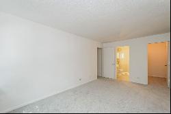 1115 S PLYMOUTH Court #101, Chicago IL 60605