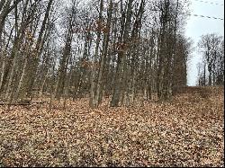 Lot 1-4 Cole Road, Murrysville PA 15668