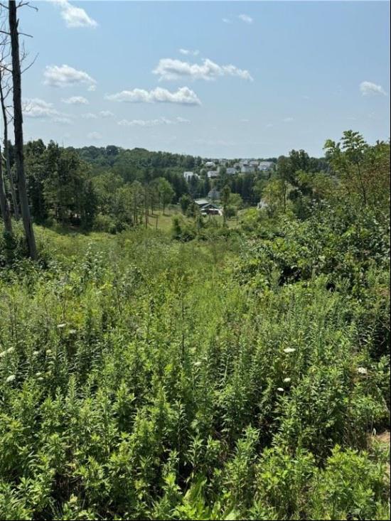 Lot 1 Mitchell Dr., Collier Twp PA 15106