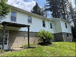 825 Johnsonburg Rd, Saint Marys PA 15857