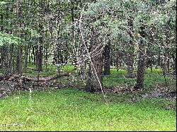 Lot 566 Sunrise Trail, Hawley PA 18428