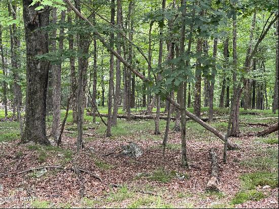 Lot 566 Sunrise Trail, Hawley PA 18428