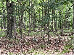 Lot 566 Sunrise Trail, Hawley PA 18428