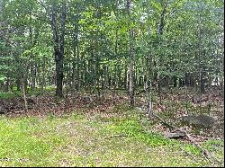 Lot 566 Sunrise Trail, Hawley PA 18428