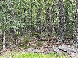 Lot 566 Sunrise Trail, Hawley PA 18428