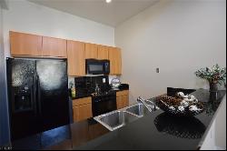 388 Boush Street Unit 102, Norfolk VA 23510