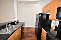 388 Boush Street Unit 102, Norfolk VA 23510