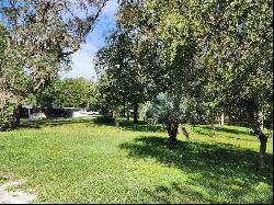 37761 Oak Forest Drive, Dade City FL 33523