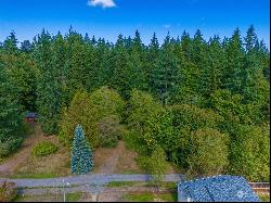 25010 SE 17th Street, Sammamish WA 98075