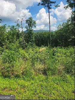 131 Lot 131 Twisted Oak #131, Ellijay GA 30540