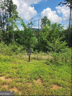 131 Lot 131 Twisted Oak #131, Ellijay GA 30540