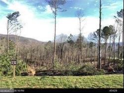 131 Lot 131 Twisted Oak #131, Ellijay GA 30540