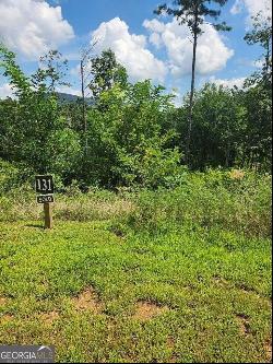 131 Lot 131 Twisted Oak #131, Ellijay GA 30540