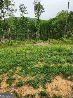 131 Lot 131 Twisted Oak #131, Ellijay GA 30540