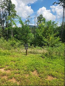 Lot 131 Lot 131 Twisted Oak, Ellijay GA 30540