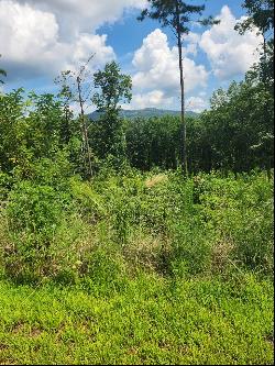 Lot 131 Lot 131 Twisted Oak, Ellijay GA 30540