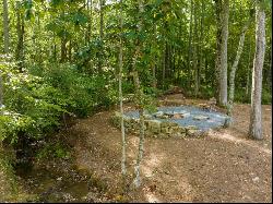 Lot 131 Lot 131 Twisted Oak, Ellijay GA 30540