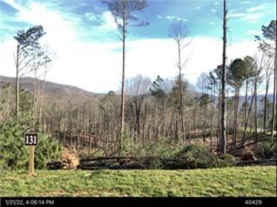 Lot 131 Lot 131 Twisted Oak, Ellijay GA 30540