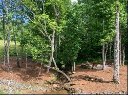 Lot 131 Lot 131 Twisted Oak, Ellijay GA 30540